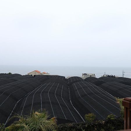 Haevichi Pension Seogwipo-stad Buitenkant foto